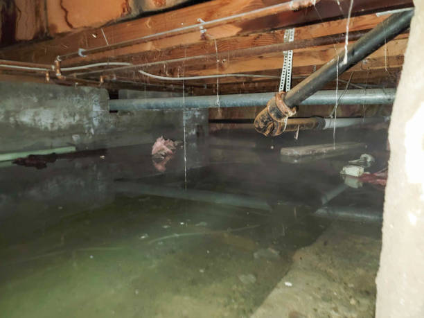Best Local water damage restoration  in Ardmore, PA