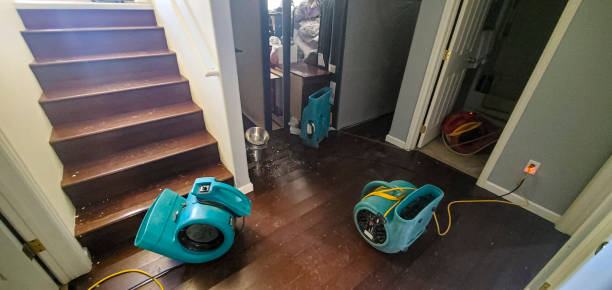 Best Basement water damage restoration  in Ardmore, PA