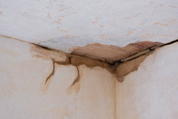 Best Water damage restoration near me  in Ardmore, PA