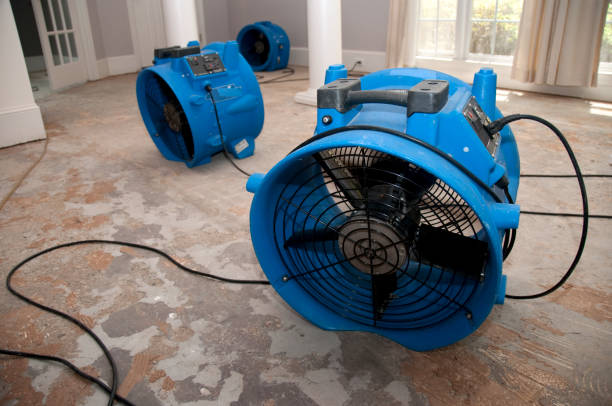 Best Water damage contractors near me  in Ardmore, PA