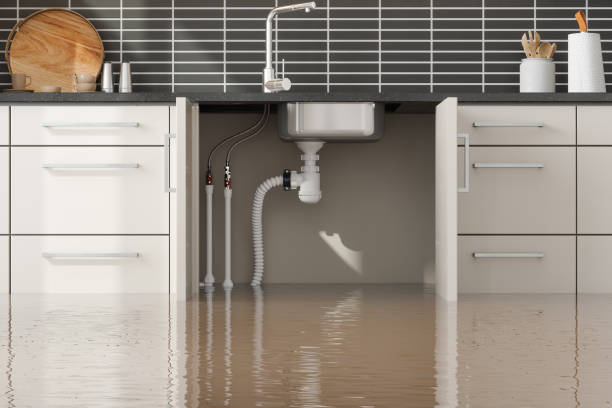 Best Flooded house restoration  in Ardmore, PA