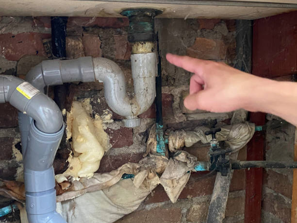 Best Sewage cleanup and water damage restoration  in Ardmore, PA