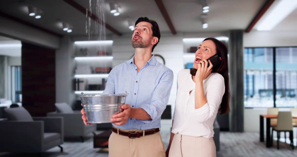 Best Water damage cleanup near me  in Ardmore, PA