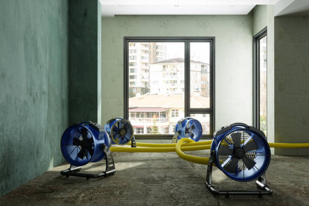 Best Mold removal after water damage  in Ardmore, PA
